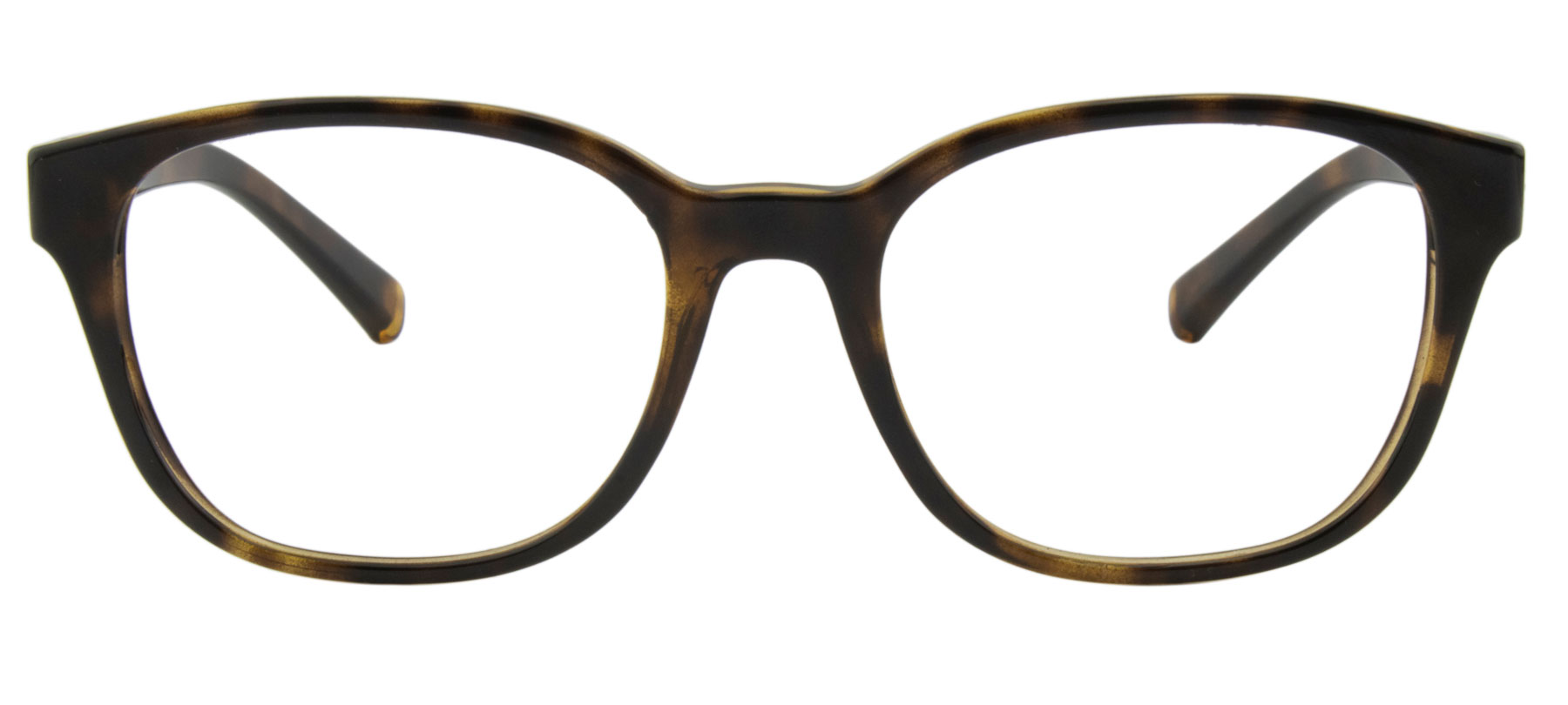 Armani Exchange AX3072 - Marrom Transparente - 8240/53 -
