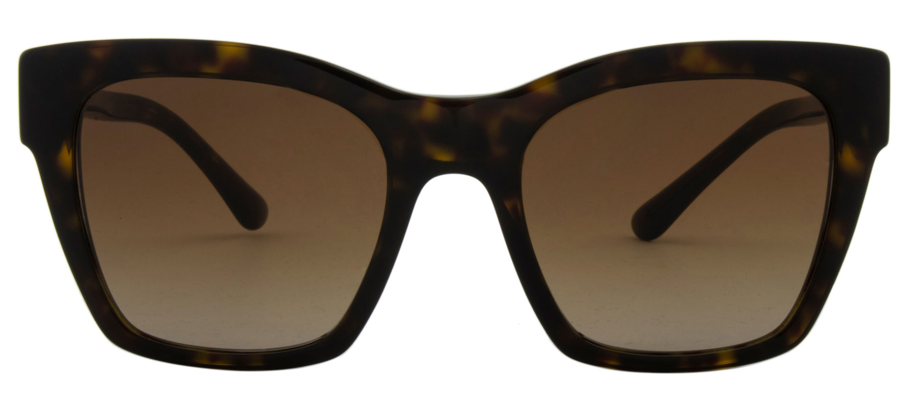 Dolce & Gabbana DG4384 - Tartaruga - 502-13/53 -