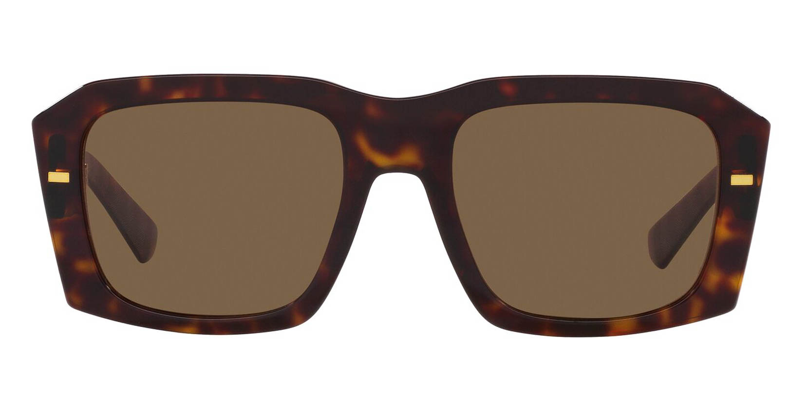 Dolce & Gabbana DG4430 - Tartaruga Escuro - 502-73/54 -