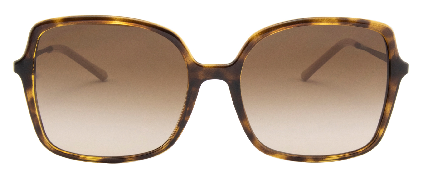 Grazi GZ4040 - Cinza/Marrom - I442/56 -