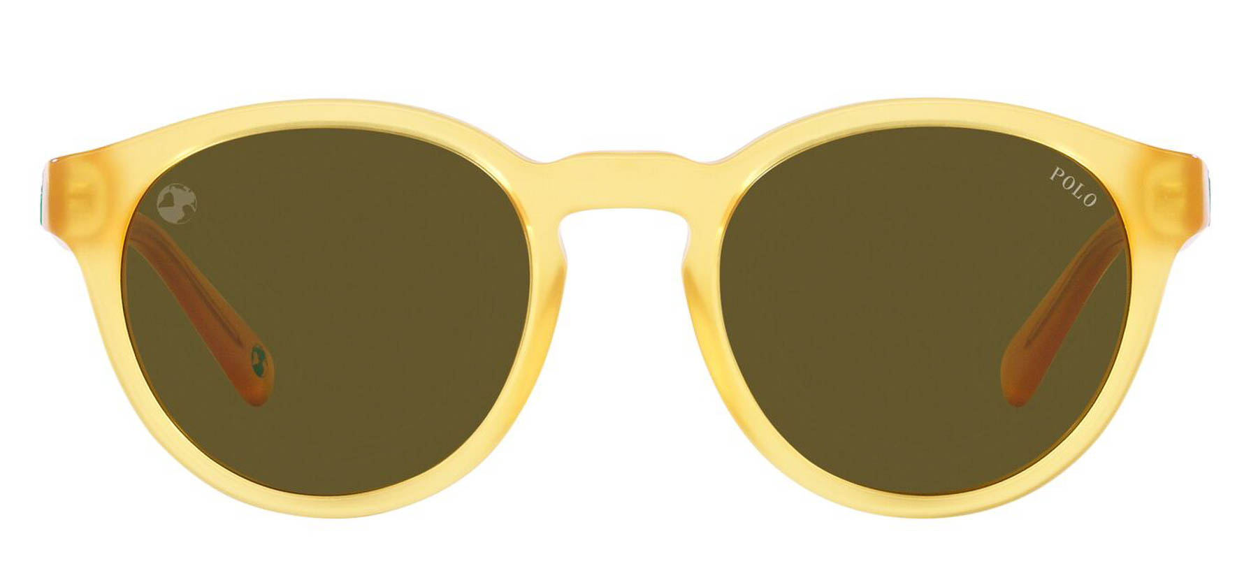 Polo Ralph Lauren PH4192 - Marrom Transparente - 608673/51 -